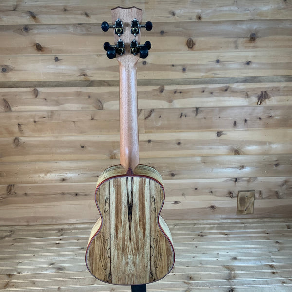 Cordoba 24C Concert Ukulele - Natural