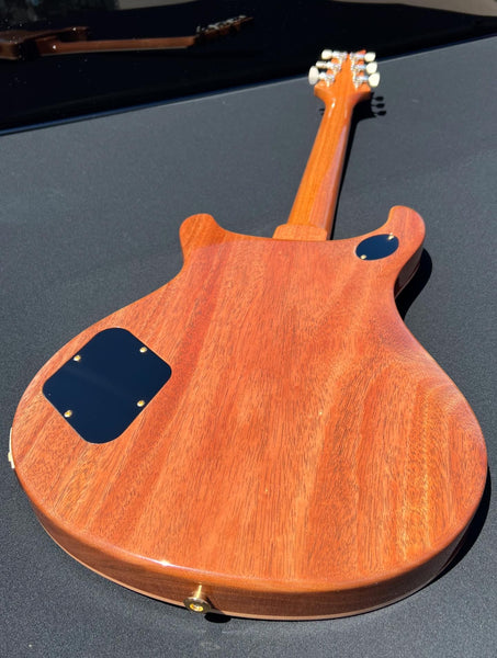 PRS McCarty 594 10-Top Electric Guitar - Aurora Borealis