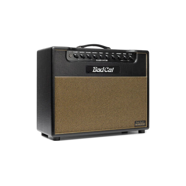 Bad Cat Mod Shop: Black Cat 30 Combo Amplifier
