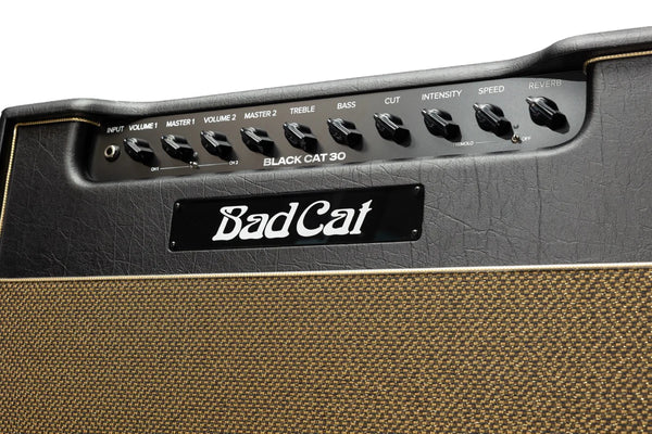 Bad Cat Mod Shop: Black Cat 30 Combo Amplifier