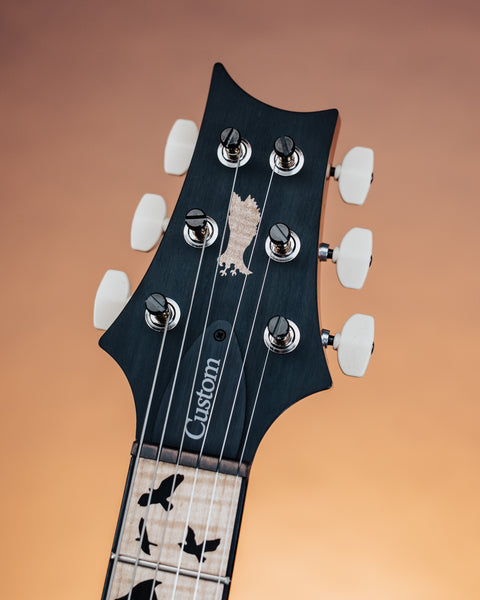 PRS 2026 Custom 24 "Birds of a Feather" Limited Edition Electric Guitar PRE SALE - Charcoal Microburst