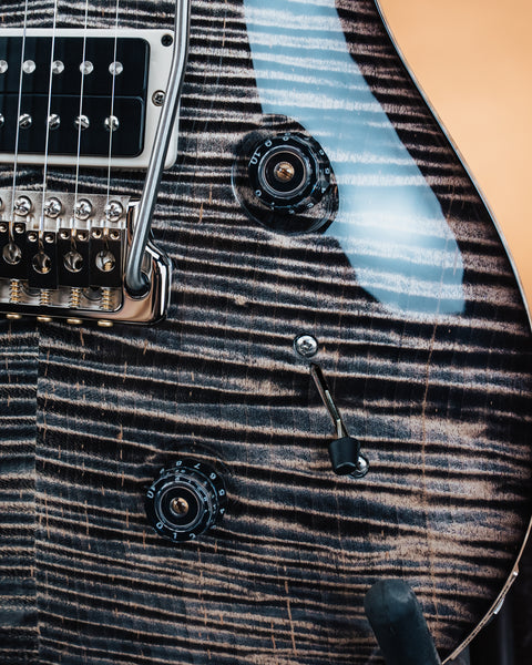 PRS 2026 Custom 24 "Birds of a Feather" Limited Edition Electric Guitar PRE SALE - Charcoal Microburst