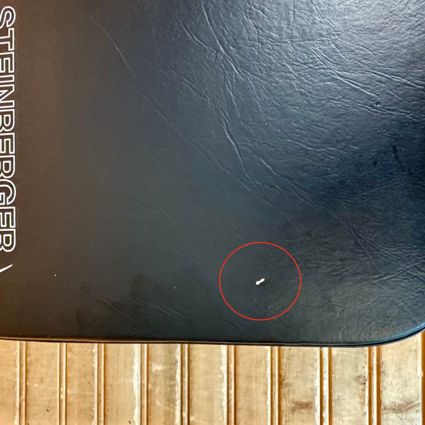 Steinberger Synapse Hardshell Case USED