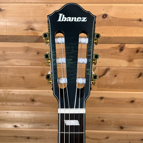 Ibanez FRH20FMN Acoustic Electric Guitar - Deep Emerald Green