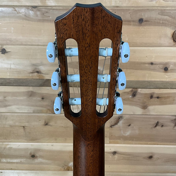 Taylor 312ce-N Acoustic Guitar - Natural