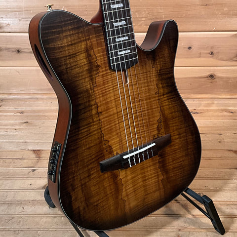 Ibanez FRH20SMN Acoustic Electric Guitar - Tobacco Burst