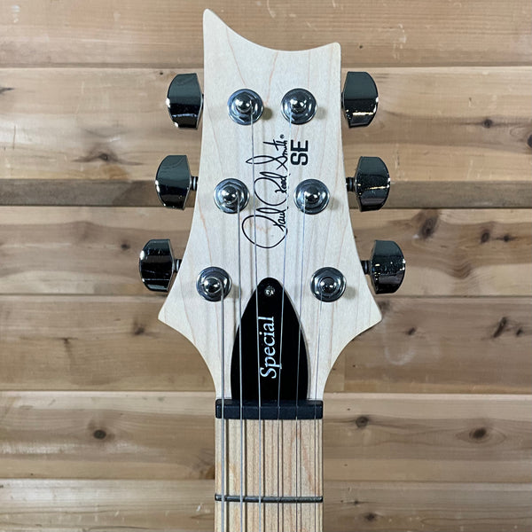 PRS SE Swamp Ash Special Electric Guitar - Iri Blue