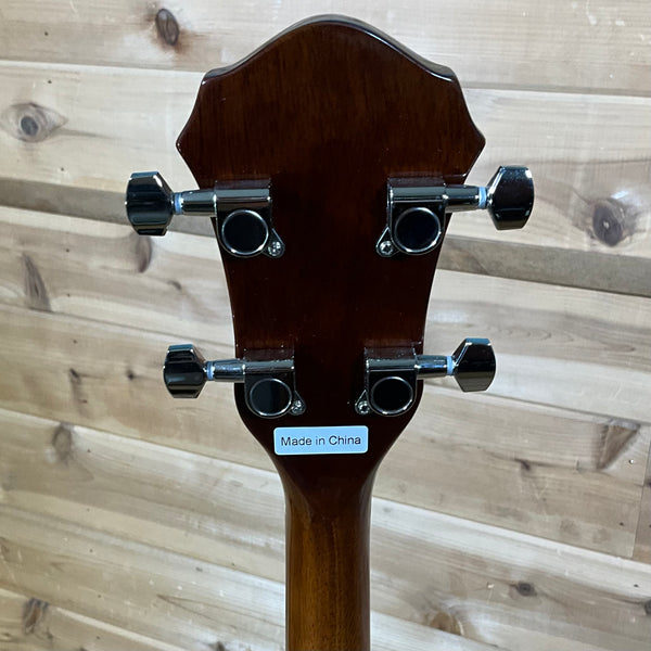 Rover RB-25 Student 5-String Resonator Banjo