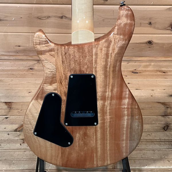 PRS SE Custom 24 Exclusive Electric Guitar - Blue Matteo/Natural Back