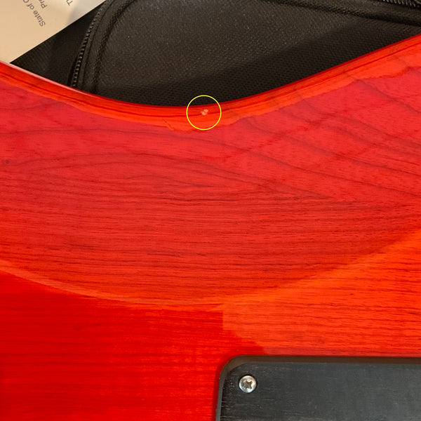 PRS 2022 Mark Lettieri Fiore Electric Guitar USED - Amaryliss