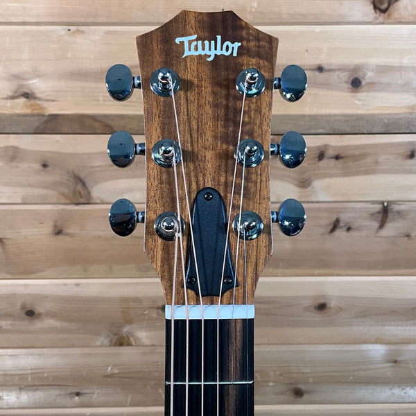 Taylor Zedd GS Mini Telos Special Edition Acoustic Guitar