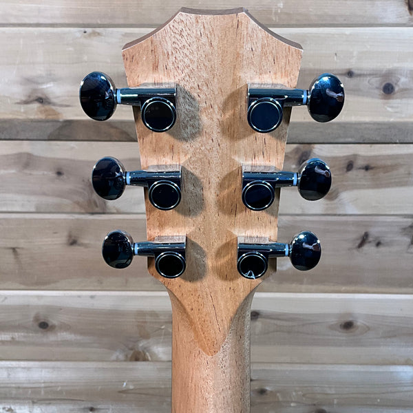 Taylor Zedd GS Mini Telos Special Edition Acoustic Guitar