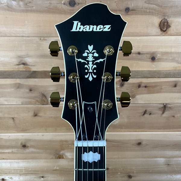 Ibanez Pat Metheny PM3C Signature Hollowbody Electric Guitar - Black