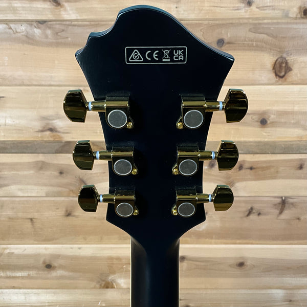 Ibanez Pat Metheny PM3C Signature Hollowbody Electric Guitar - Black