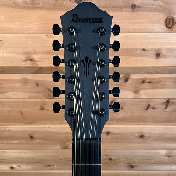Ibanez AEG1221 Acoustic Guitar - Blackout