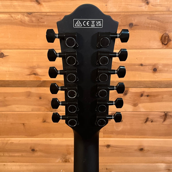 Ibanez AEG1221 Acoustic Guitar - Blackout