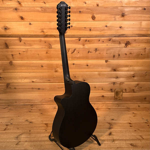 Ibanez AEG1221 Acoustic Guitar - Blackout