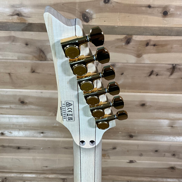 Ibanez PIA3761 Steve Vai Electric Guitar - Onyx Black