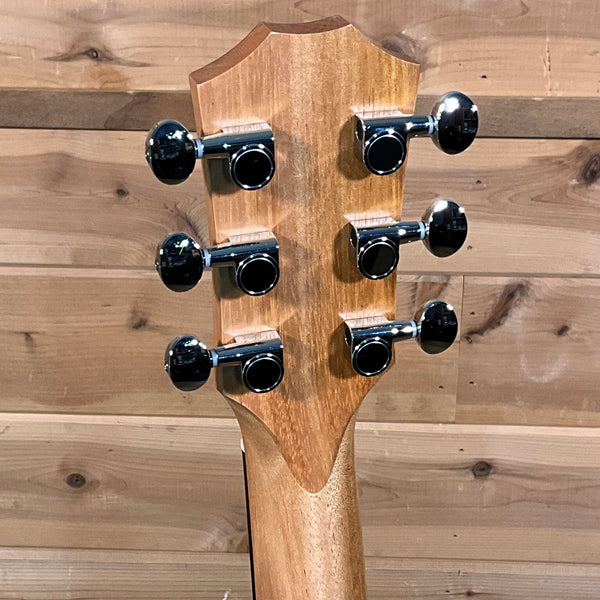 Taylor Zedd GS Mini Telos Special Edition Acoustic Guitar