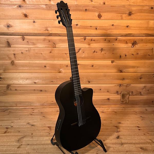 Ibanez GA621 Acoustic Guitar - Black Out