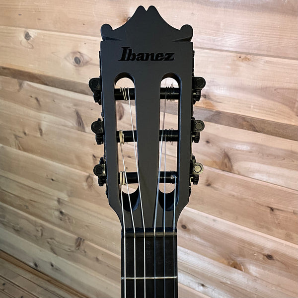 Ibanez GA621 Acoustic Guitar - Black Out