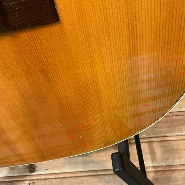 Goya T-16 Acoustic Guitar USED - Natural