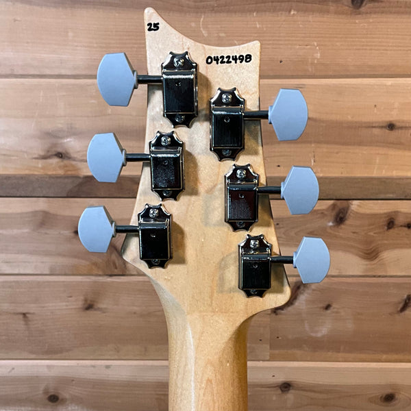 PRS Silver Sky Satin Electric Guitar - Black Plum