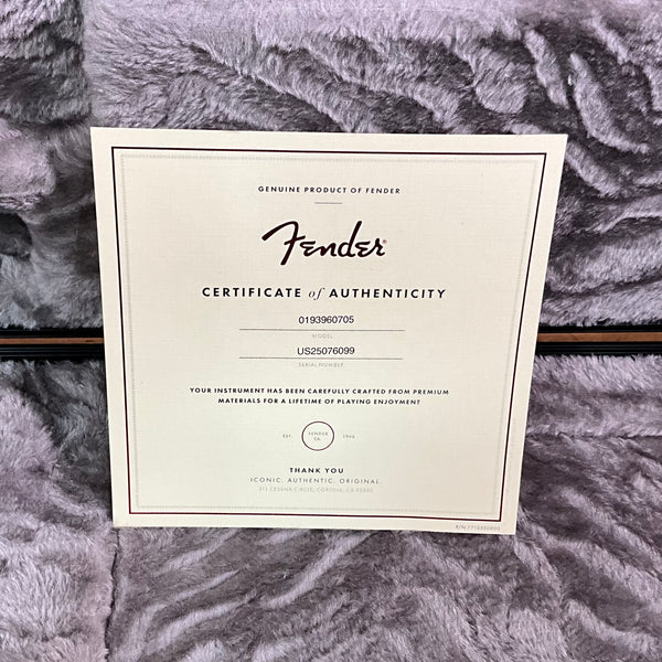 Fender American Professional II Precision V Bass - Olympic White