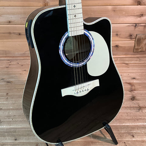 Esteban VL-100 Master Class Series Acoustic Guitar USED