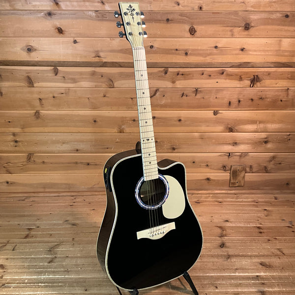 Esteban VL-100 Master Class Series Acoustic Guitar USED