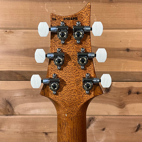 PRS DGT Semi-Hollow Electric Guitar - Tiger Eye