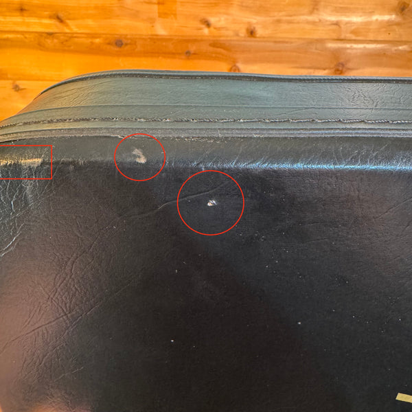 Epiphone Viola Bass Hardshell Case USED