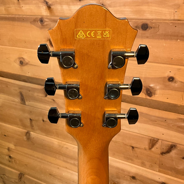 Ibanez AE170 Acoustic Guitar - Natural w/ Red