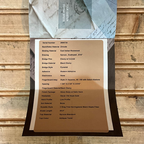 Martin Custom Shop D-21 Special Ziricote Acoustic Guitar - Natural