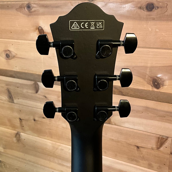 Ibanez AEWC621 Acoustic Guitar - Black Out