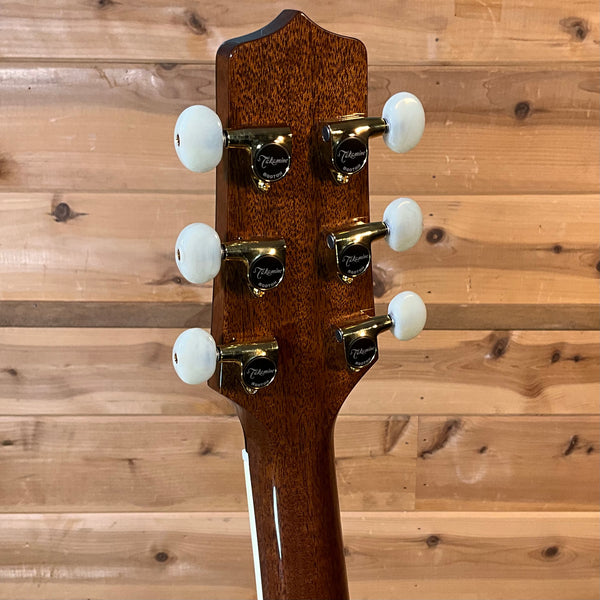 Takamine RNV460C Acoustic Guitar - Natural