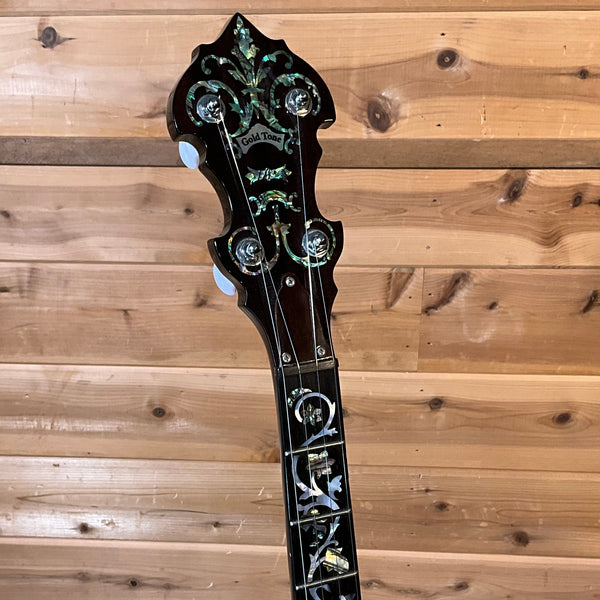 Gold Tone White Ladye WL-250T 5-String Openback Banjo USED