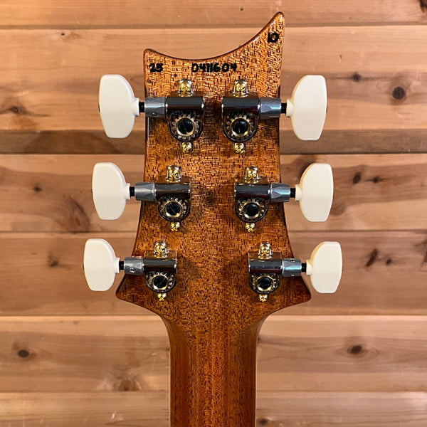 PRS McCarty 594 10-Top Electric Guitar - Aurora Borealis