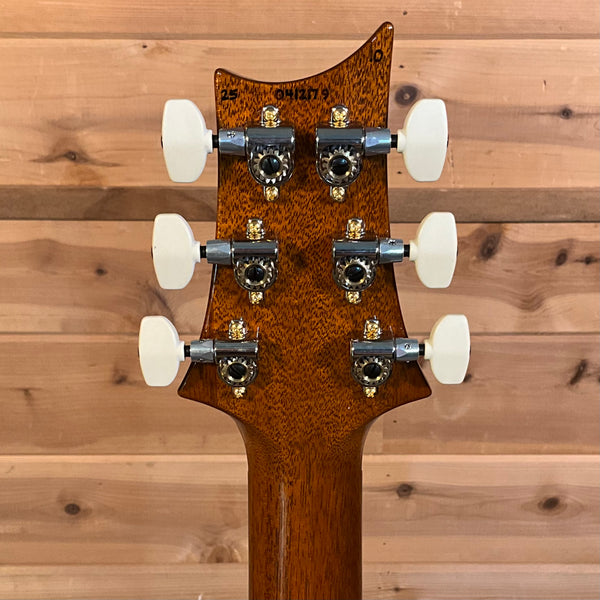 PRS Special Semi-Hollow 22 10-Top Electric Guitar - Black Gold