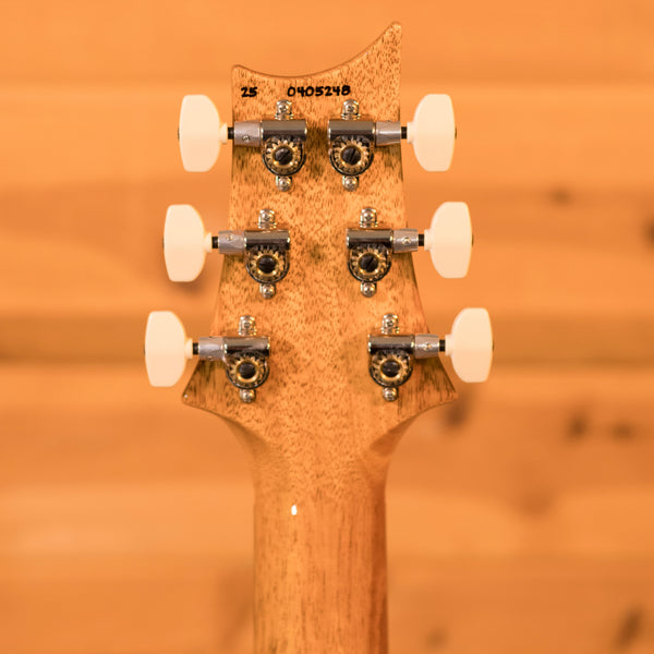 PRS Custom 24 Electric Guitar - Carroll Blue