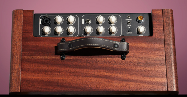 Taylor Circa 74 AV150-10 150-Watt Acoustic Amplifier - Mahogany