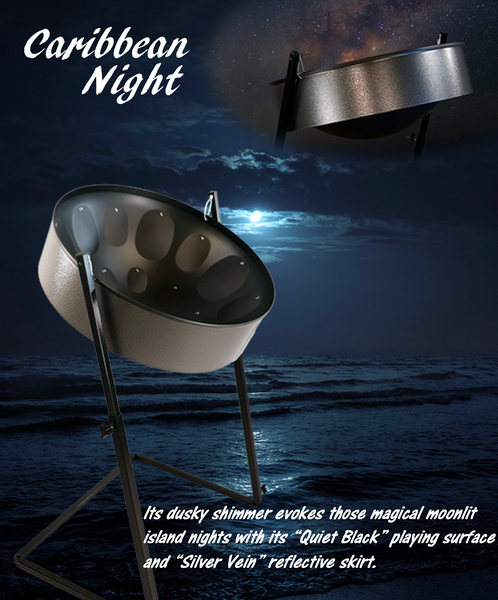 Panyard C-20 Lead Steel Pan Package