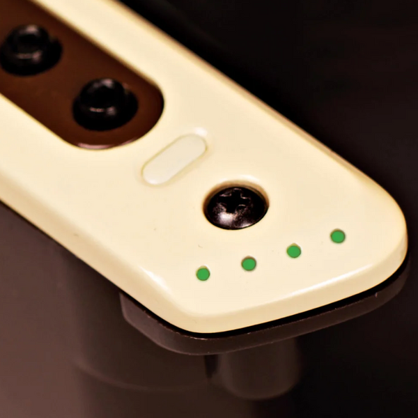 L.R. Baggs M80 Acoustic Guitar Soundhole Pickup