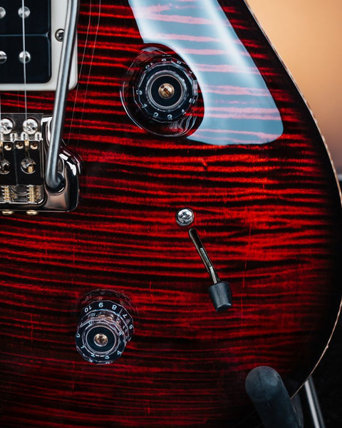 PRS Custom 24 "Birds of a Feather" Limited Edition Electric Guitar - Blood Red (PRE-SALE)