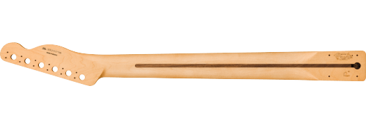 Fender Player Series Telecaster Reverse Headstock Neck 22MedJum, 9.5", Modern "C - Pau Ferro
