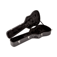 Fender dreadnought deals case