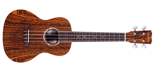  Cordoba 15CM Concert Ukulele - Hand Crafted With Mahogany Top,  Back & Sides, Authentic Abalone Rosette & Satin Finish & Premium Italian  Aquila Strings - For Beginners & Professionals : Home