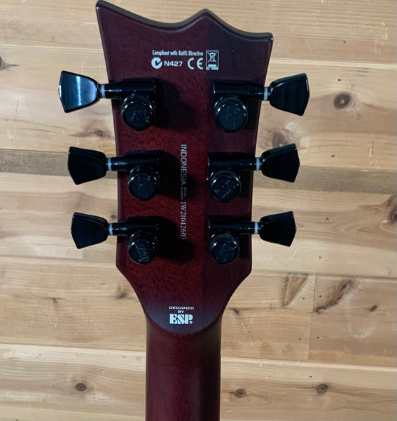 ESP LTD EC-1001 Electric Guitar - Tiger Eye