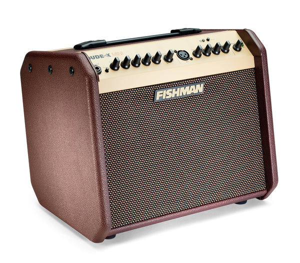 Fishman PRO-LBT-500 Loudbox Mini Acoustic Guitar Amplifier w/ Bluetooth