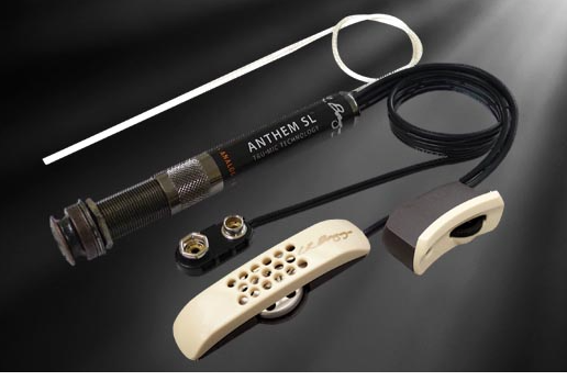 L.R. Baggs Anthem SL Tru-Mic & Element Pickup Mixing System